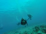 Hawaii Scuba divng 67