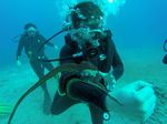 Hawaii Scuba divng 71