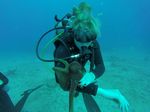 Hawaii Scuba divng 76