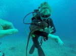 Hawaii Scuba divng 78