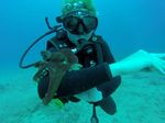 Hawaii Scuba divng 79