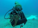 Hawaii Scuba divng 80