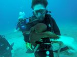 Hawaii Scuba divng 83