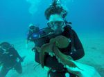 Hawaii Scuba divng 84