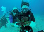 Hawaii Scuba divng 87