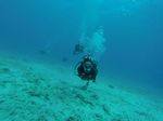 Hawaii Scuba divng 90