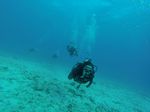 Hawaii Scuba divng 91