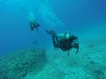 Hawaii Scuba divng 93