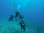 Hawaii Scuba divng 94