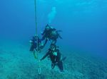 Hawaii Scuba divng 96