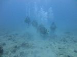 Hawaii Scuba divng 11