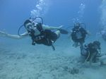 Hawaii Scuba divng 13