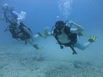 Hawaii Scuba divng 14