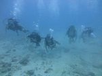 Hawaii Scuba divng 15