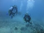 Hawaii Scuba divng 16