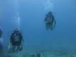 Hawaii Scuba divng 17