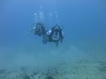 Hawaii Scuba divng 18