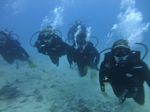 Hawaii Scuba divng 28