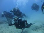 Hawaii Scuba divng 32