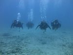 Hawaii Scuba divng 34