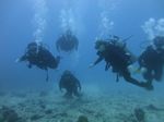 Hawaii Scuba divng 35