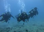 Hawaii Scuba divng 36