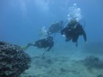 Hawaii Scuba divng 38