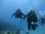 Hawaii Scuba divng 39