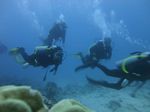 Hawaii Scuba divng 40