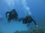 Hawaii Scuba divng 41