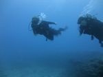 Hawaii Scuba divng 42