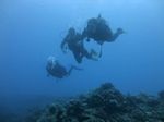 Hawaii Scuba divng 43