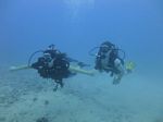 Hawaii Scuba divng 14