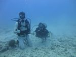 Hawaii Scuba divng 15