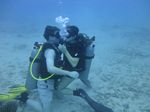 Hawaii Scuba divng 16