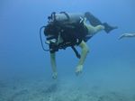 Hawaii Scuba divng 18