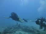 Hawaii Scuba divng 19