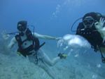 Hawaii Scuba divng 20