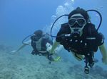 Hawaii Scuba divng 21