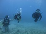 Hawaii Scuba divng 24