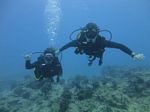 Hawaii Scuba divng 35