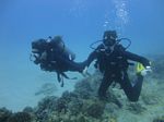 Hawaii Scuba divng 38