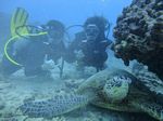 Hawaii Scuba divng 46