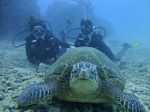 Hawaii Scuba divng 52