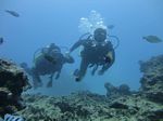 Hawaii Scuba divng 56