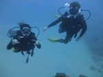 Hawaii Scuba divng 60