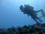 Hawaii Scuba divng 61