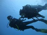 Hawaii Scuba divng 62