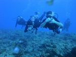 Hawaii scuba 35