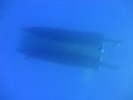 Hawaii scuba 54